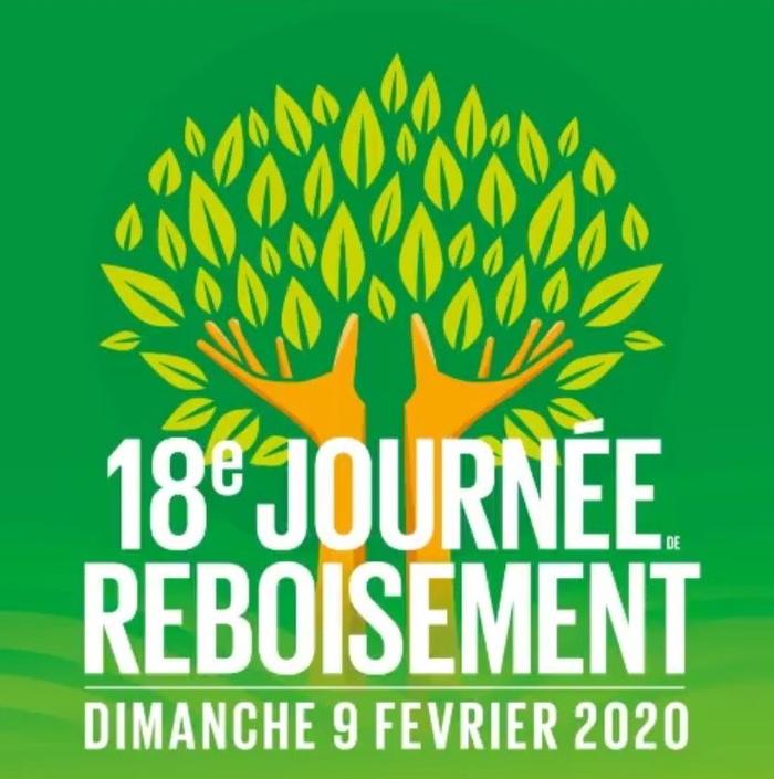 Reboisement 2020