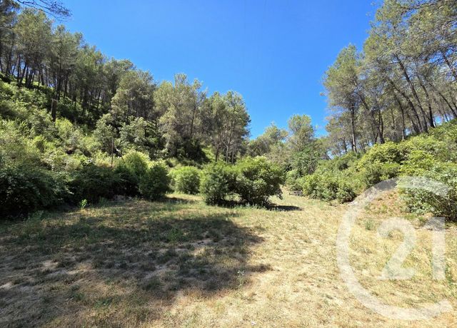 terrain à vendre - 1939.0 m2 - ALLAUCH - 13 - PROVENCE-ALPES-COTE-D-AZUR - Century 21 Concept Immobilier