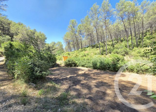 terrain à vendre - 1939.0 m2 - ALLAUCH - 13 - PROVENCE-ALPES-COTE-D-AZUR - Century 21 Concept Immobilier