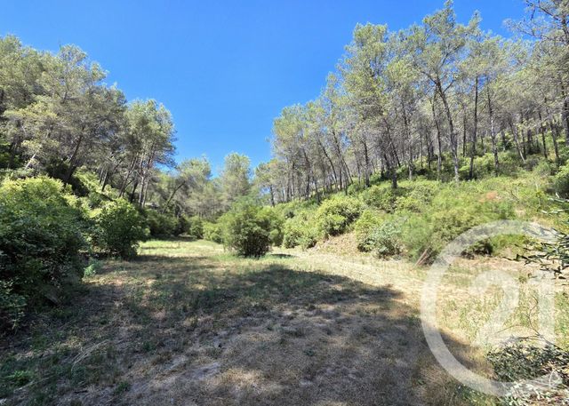 terrain à vendre - 1939.0 m2 - ALLAUCH - 13 - PROVENCE-ALPES-COTE-D-AZUR - Century 21 Concept Immobilier