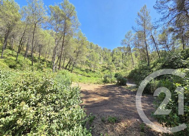 terrain à vendre - 1939.0 m2 - ALLAUCH - 13 - PROVENCE-ALPES-COTE-D-AZUR - Century 21 Concept Immobilier